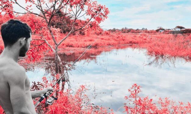 Natureza, Tempo e Riqueza